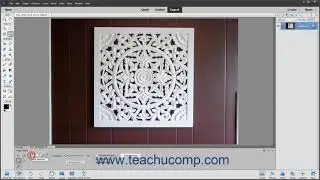 Photoshop Elements 2021 Tutorial The Magic Wand Tool  Adobe Training