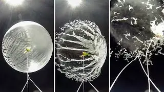 Watch the explosive demise of a weather balloon