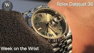 Week on the Wrist - Rolex Datejust 36 Wimbledon 👑 The Classic Choice