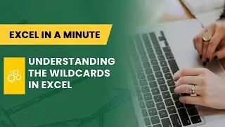 UNDERSTANDING THE WILDCARDS IN EXCEL BY EXCEL IN A MINUTE