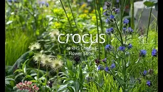 Behind The Build | The Mind Garden 2022 | Crocus at the RHS Chelsea Flower Show