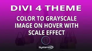 Divi 4 Color To Grayscale Image On Hover With Scale Effect