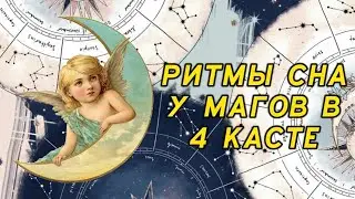 РИТМЫ СНА И РАСПОРЯДОК ДНЯ У МАГОВ