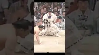 Асасёрю VS Котоновака #japan #sumo #sport #япония #сумо #мма #mma #ufc #wwe