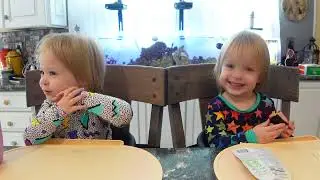 Twins try superfood smoothie pouches