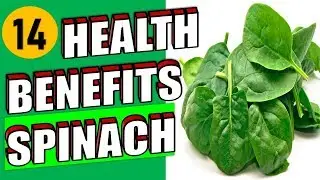 14 Health Benefits of Spinach Superfood including Weight Loss, Hair Growth & Pregnancy