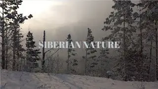 ✅ 4К Природа Сибири! Енисей! Тайга! Siberian river!