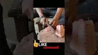 catfish cutting|| #softmeat|| #meat|| #🔥🔥🔥|| #shorts