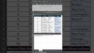 Quick Tips: How to Filter Unique Values in Excel  #excel #excelfunction #shorts