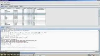 Introduction to Burp-Suite Comparer Tool