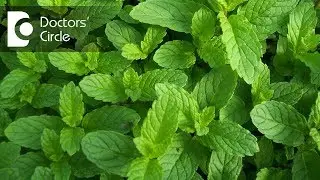 Is it true mint helps in hair reduction in women with PCOS? - Dr. Chetali Samant