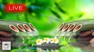 🔴 Relaxing Music 24/7, Stress Relief Music, Meditation, Spa, Sleep, Zen, Calming Music, Study, Yoga