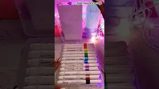 Acrylic painting with markers | Flair Acrylic  Markers🎨 | Useful stationery | Paint on any surface