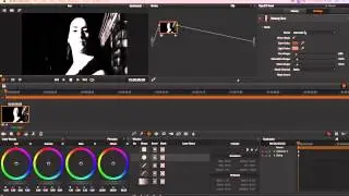 Beauty Box Video Skin Retouching Plugin: Intro for Davinci Resolve