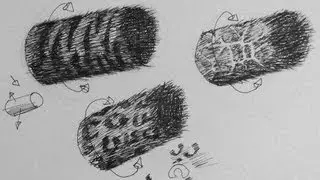 Pen & Ink Drawing Tutorial | How to create animal fur patterns