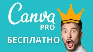 Как БЕСПЛАТНО получить Канва ПРО? Инструкция 2024. Canva Pro бесплатно