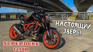 Я ДЕРЖАЛСЯ ДО ПОСЛЕДНЕГО | KTM 1290 Super Duke R 2023