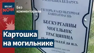 Историко-культурную ценность перекопали под картошку