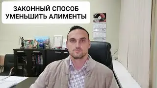 Законный способ уменьшить алименты