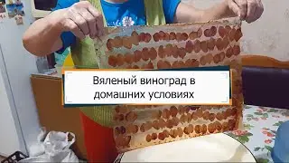 Вяленый виноград в домашних условиях