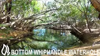 Bottom Whiphandle Waterhole Camping Area - Rinyirru (Lakefield) National Park, Queensland