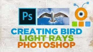 How to Creating Bird Light Rays in Photoshop