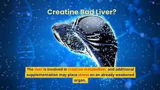 Is Creatine Bad For Your Liver?