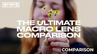 Ultimate Canon Macro Lens Comparison - Which are you grabbing?