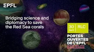 Bridging science and diplomacy to save the Red Sea corals | PO2023