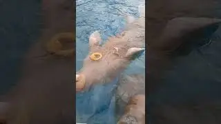 Московский зоопарк 2023