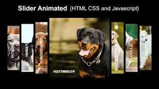 How To Make A Animation Slider Using HTML  CSS and Javascript | HTML CSS JS Tutorial