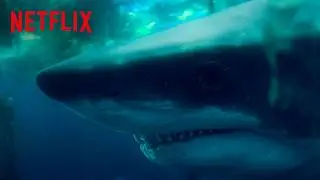 Sophia Confronts a Shark | Under Paris | Netflix