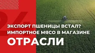 Проблемы сельского хозяйства в Казахстане | Отрасли