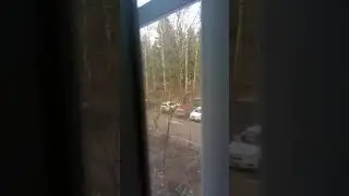 Из-за теплой зимы всё сошло с ума