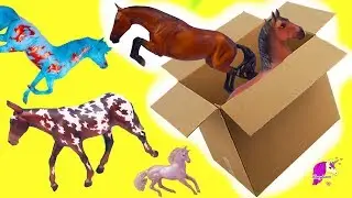 Box of New Horses ! Traditional, Club, Freedom Series  Breyer Horse Haul Video