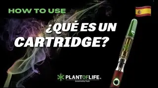 🇪🇸 ¿QUÉ ES UN CARTRIDGE? - PLANTOFLIFE