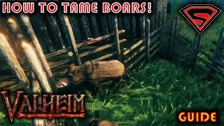 VALHEIM HOW TO TAME BOARS - EVERYTHING YOU NEED TO KNOW ABOUT TAMING BOARS