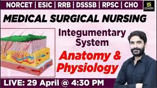 MSN- Integumentary System -Anatomy & Physiology | For NORCET | RRB | DSSSB | RPSC | CHO |By Raju Sir