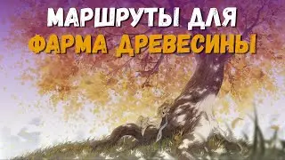 Маршруты для фарма древесины. Материал для Чайника Безмятежности. Genshin Impact