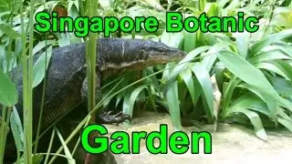 Singapore Botanic Garden