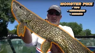 Summer Pike Fishing Tips