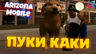 Купил ПУКИ КАКИ на ВСЕ ДЕНЬГИ АРИЗОНА РП (GTA SAMP) 81 Серия!!!!!!