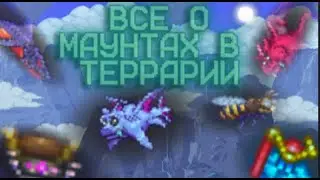 [Terraria] Все о ЕЗДОВЫХ ПИТОМЦАХ В ТЕРРАРИИ | МАУНТЫ ПРЕ-ХАРДМОДА И ХАРДМОДА!