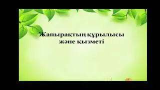 Жапырақтың құрылысы және қызметі