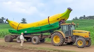 15 Biggest Fruits & Vegetables Ever Created