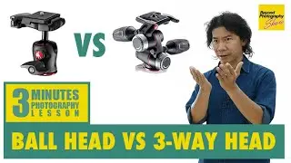 Tripod Ball Head or 3-Way Head?