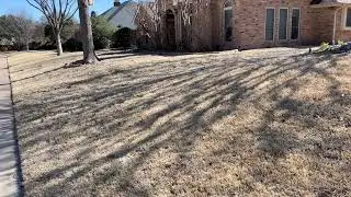 This is Why a Brown Lawn is Beautiful in North Texas During the Wintertime