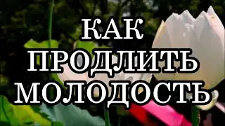 КАК ОТМЕНИТЬ ПРОГРАММУ СТАРЕНИЯ? КАК ПРОДЛИТЬ МОЛОДОСТЬ?