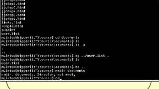 Linux and Unix Basics :  Working with Directories