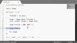 Python [PIL Image] 14 The Resize Function